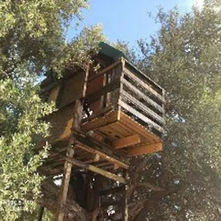 Glamping In The Middle Of Nowhere * 파포스